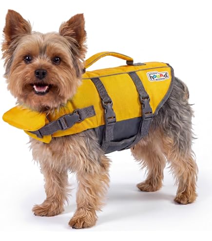 Amazon.com : Outward Hound Granby Splash Dog Life Jacket, Life